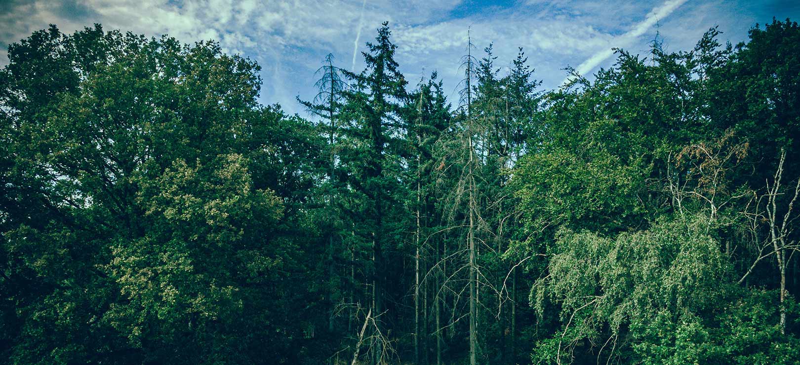 乐清城公工具有限公司。